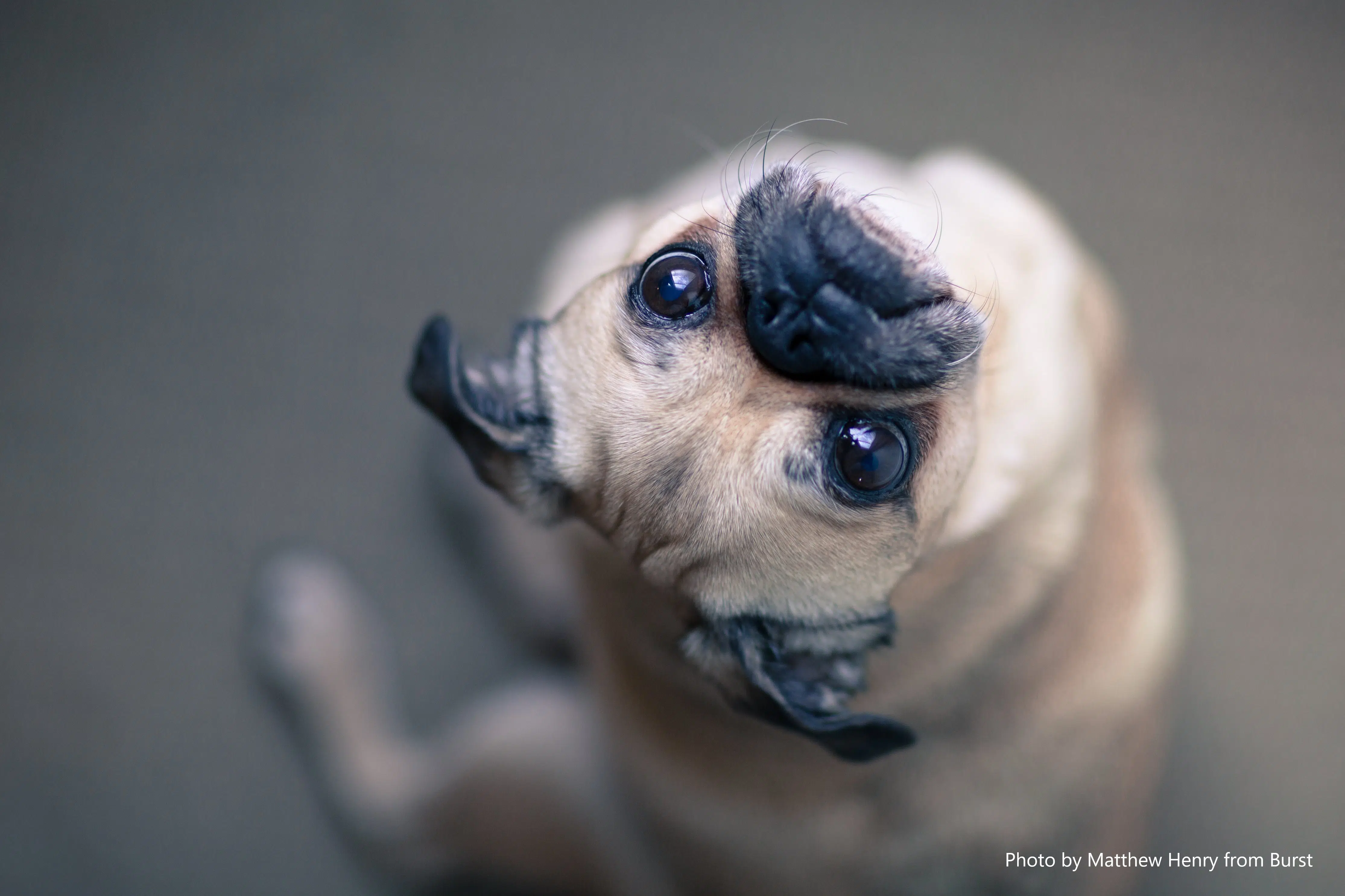 Understanding pap smear results what they really mean dr kate white